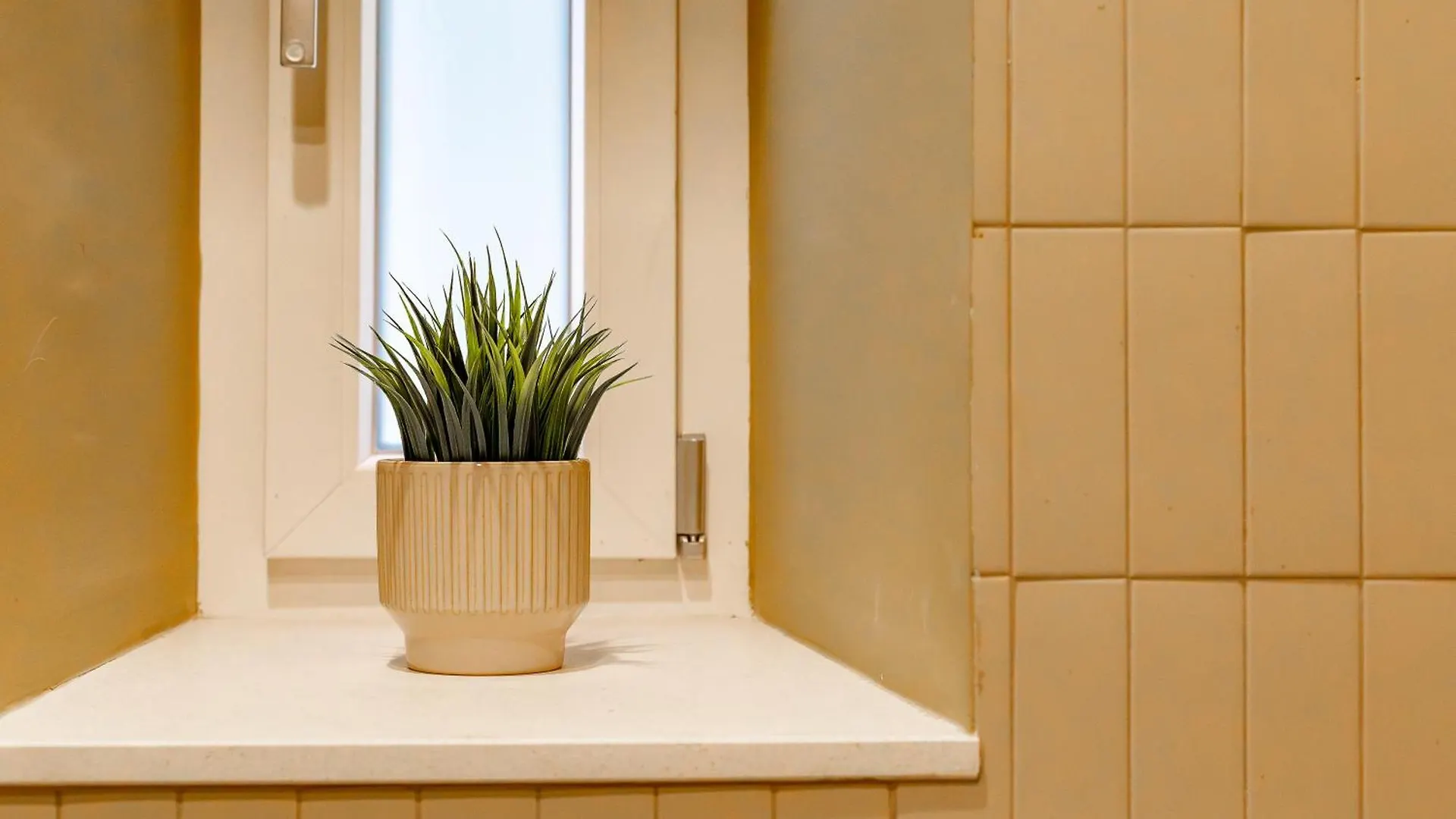 Iflat Colorful New Apartment In Esquilino Rome Italy
